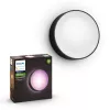 Philips Hue Daylo lauko sieninis šviestuvas, juodos spalvos, White and colour ambience