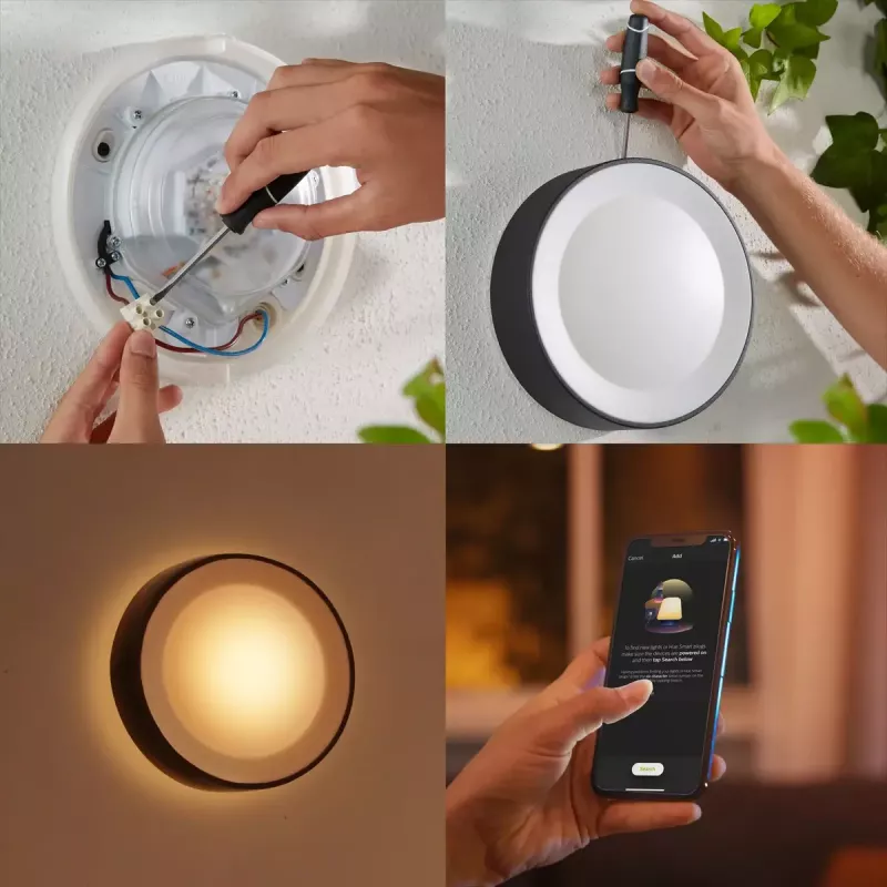 Philips Hue Daylo lauko sieninis šviestuvas, juodos spalvos, White and colour ambience
