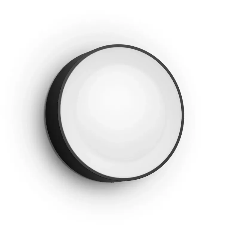 Philips Hue Daylo lauko sieninis šviestuvas, juodos spalvos, White and colour ambience
