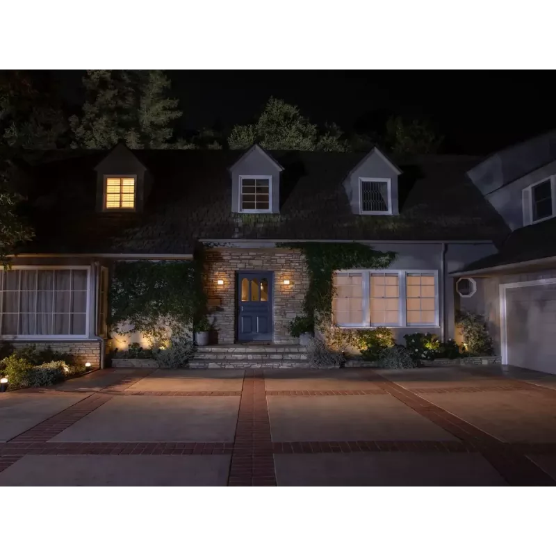 Philips Hue Bridge išmanusis valdiklis šviestuvams