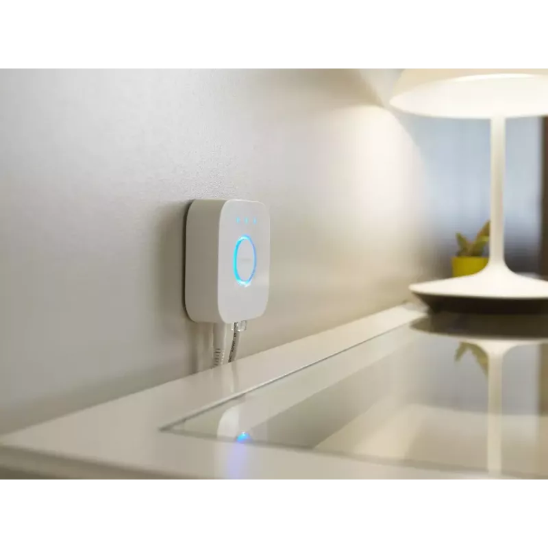 Philips Hue Bridge išmanusis valdiklis šviestuvams