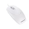 CHERRY WHEELMOUSE OPTICAL Laidinė pelė, šviesiai pilka, PS2/USB, ambidekstrinė, optinė, USB Type-A, 1000 DPI, balta