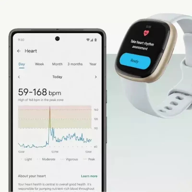 Išmanusis laikrodis Fitbit Sense 2