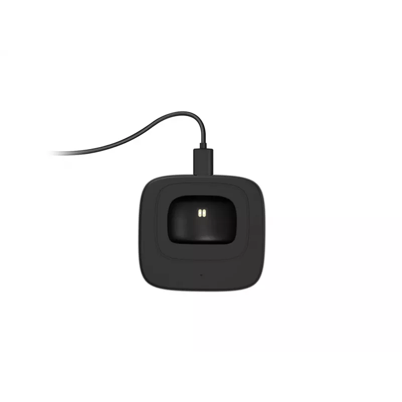 Belaidės Bluetooth ausinės su įkrovimo stotele Conceptronic POLONA