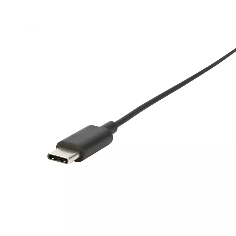 Ausinės Jabra Biz 2300 Mono USB-C MS
