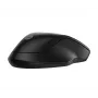 HP 255 Dviejų režimų belaidė pelė, ambidekstrinė, optinė, RF belaidė + Bluetooth, 1600 DPI, juoda