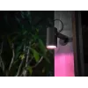 Prožektorius Philips Hue White and Colour Ambiance Lily Outdoor 1741430P7