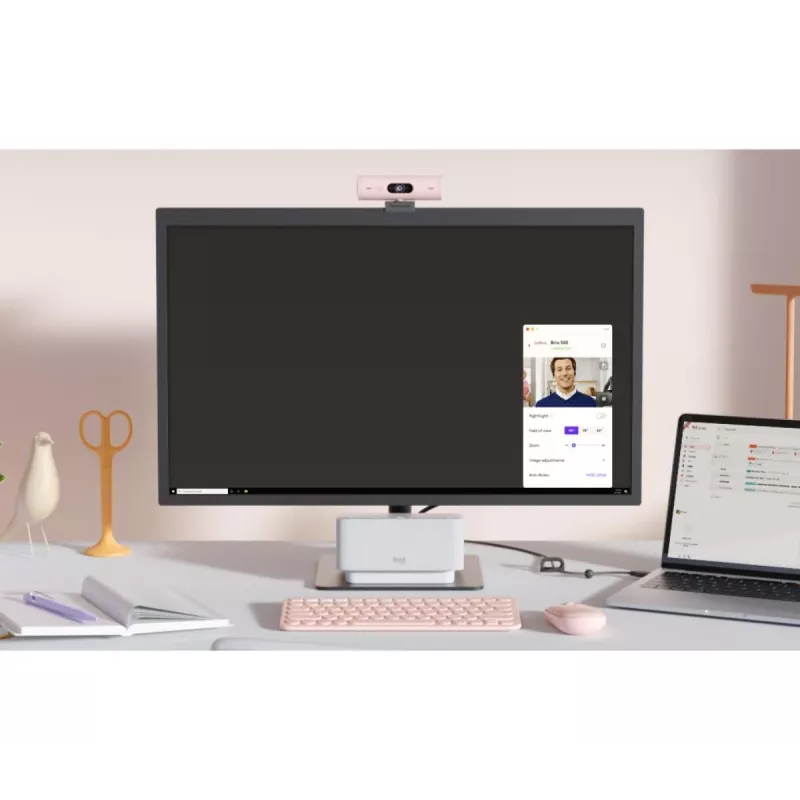 LOGITECH Brio 500 Full HD internetinė kamera rožinė
