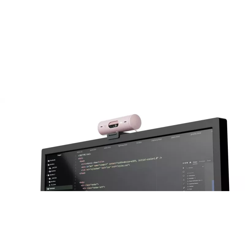 LOGITECH Brio 500 Full HD internetinė kamera rožinė
