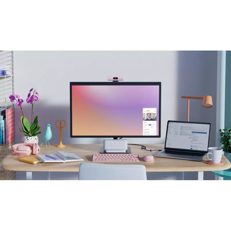 LOGITECH Brio 500 Full HD internetinė kamera rožinė