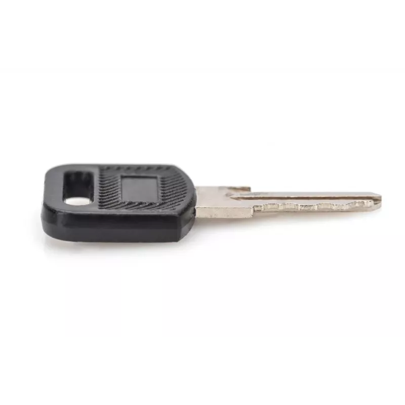 Raktas užrakinimui sieninių spintų DIGITUS DN-KEY-WM — Dynamic serija, SOHO 10 col. ir 19 col. serijos, įkrovimo spintos (2 vnt.)