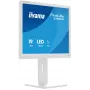 Monitorius iiyama ProLite B1980S-W1 48,3 cm (19 colių) 1280x1024 SVGA LED baltas