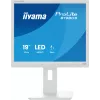 Monitorius iiyama ProLite B1980S-W1 48,3 cm (19 colių) 1280x1024 SVGA LED baltas