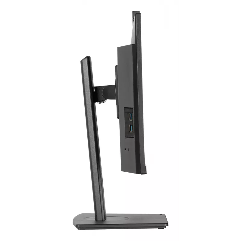 Monitorius iiyama XUB2490HSUH-B2 23,8 colių Full HD IPS LED juodas