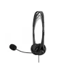 Ausinės HP Stereo USB Headset G2