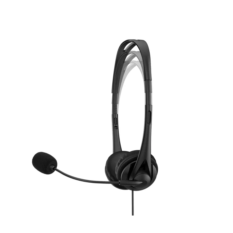 Ausinės HP Stereo USB Headset G2