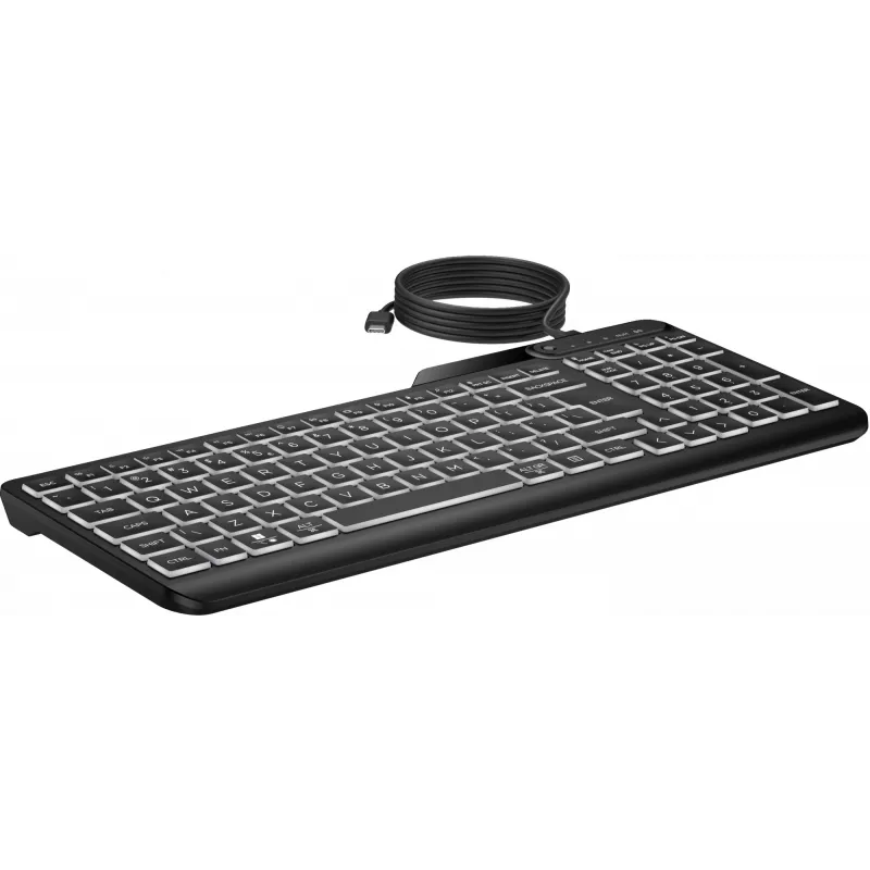 HP 405 belaidė apšviesta klaviatūra, viso dydžio (100%), laidinė, USB, membraninė, QWERTY, juoda