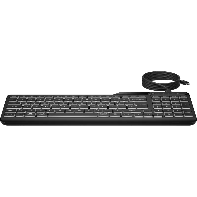 HP 405 belaidė apšviesta klaviatūra, viso dydžio (100%), laidinė, USB, membraninė, QWERTY, juoda