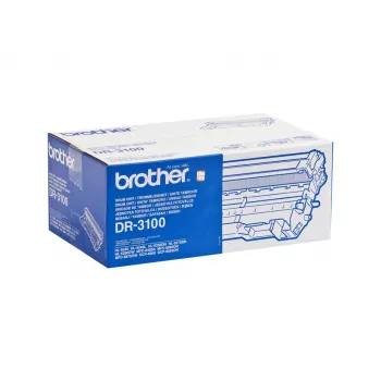 Būgnas Brother DR-3100 Original