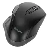 Targus AMW584GL pelė dešinei rankai, RF belaidė, Blue Trace, 1600 DPI