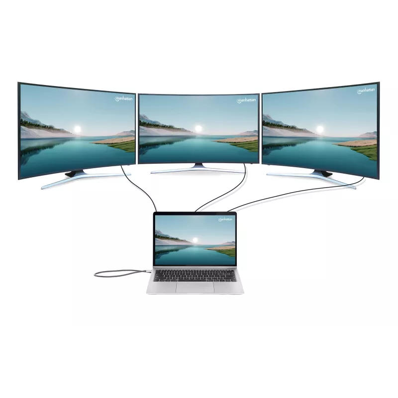 Manhattan 12-in-1 USB-C dokas / stotelė 4K 60Hz, 100W PD