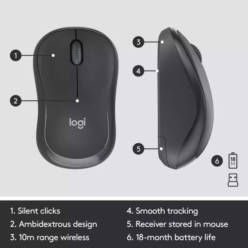 LOGITECH MK295 Tylus belaidis rinkinys Graphite AZERTY Belgijos