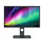BenQ SW321C kompiuterio monitorius 81,3 cm (32 col.) 3840 x 2160 pikselių 4K Ultra HD LED pilkas