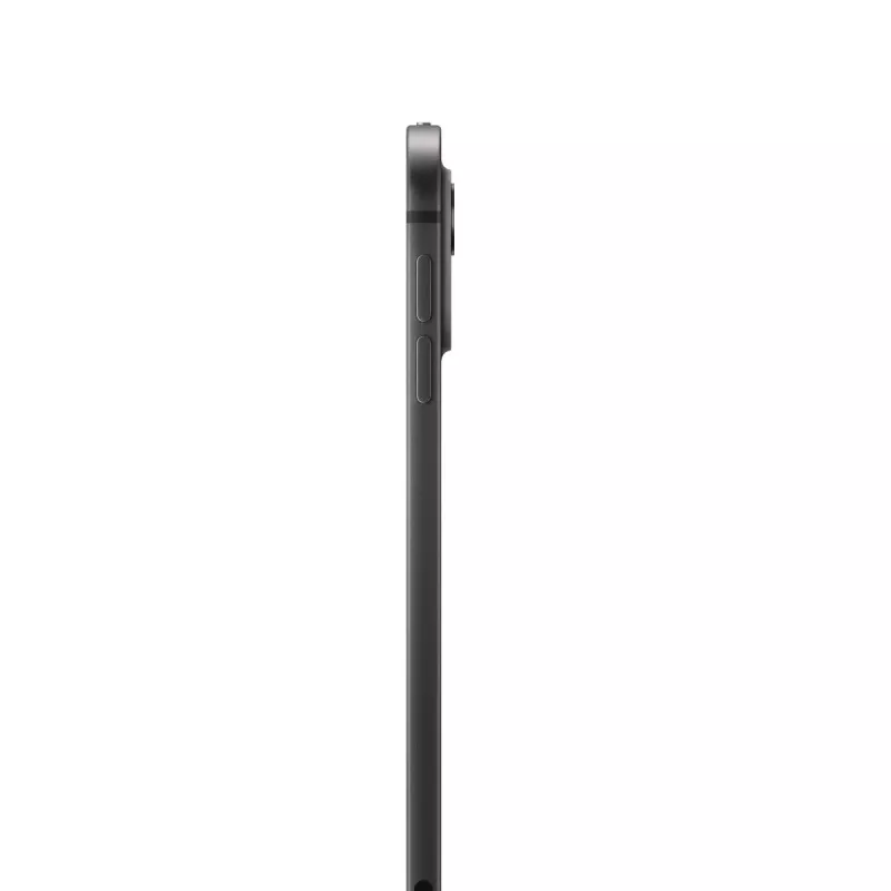 APPLE iPad Pro M4 11 colių Wi-Fi + Cellular 2TB Kosminė juoda Standartinis stiklas