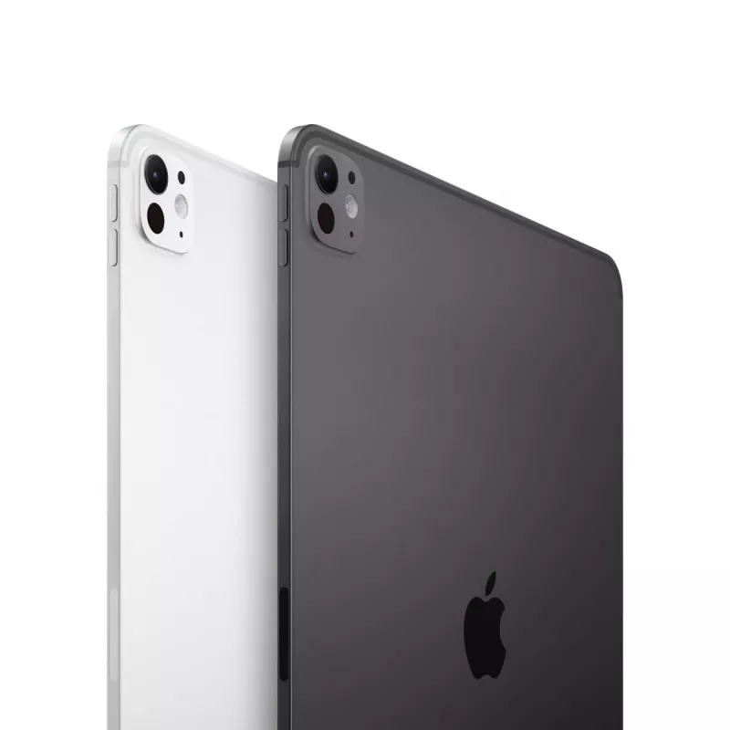 APPLE iPad Pro M5 11 colių Wi-Fi 256GB standartinis stiklas Space Black