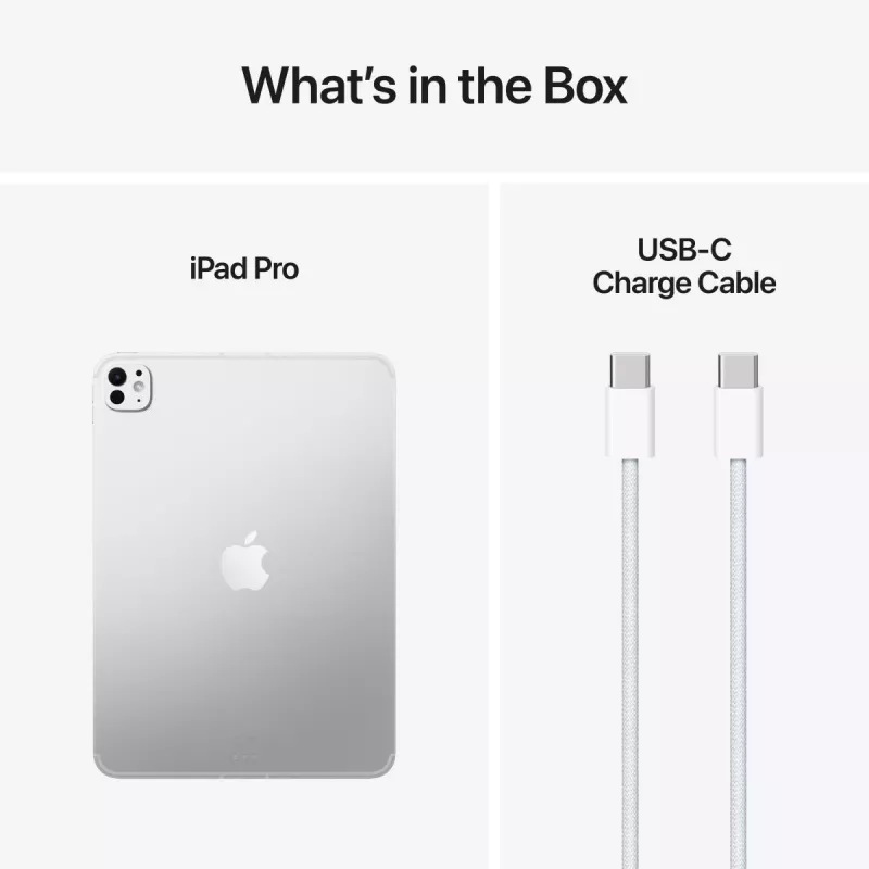 APPLE iPad Pro M5 11 colių Wi-Fi + Cellular 256 GB sidabrinis