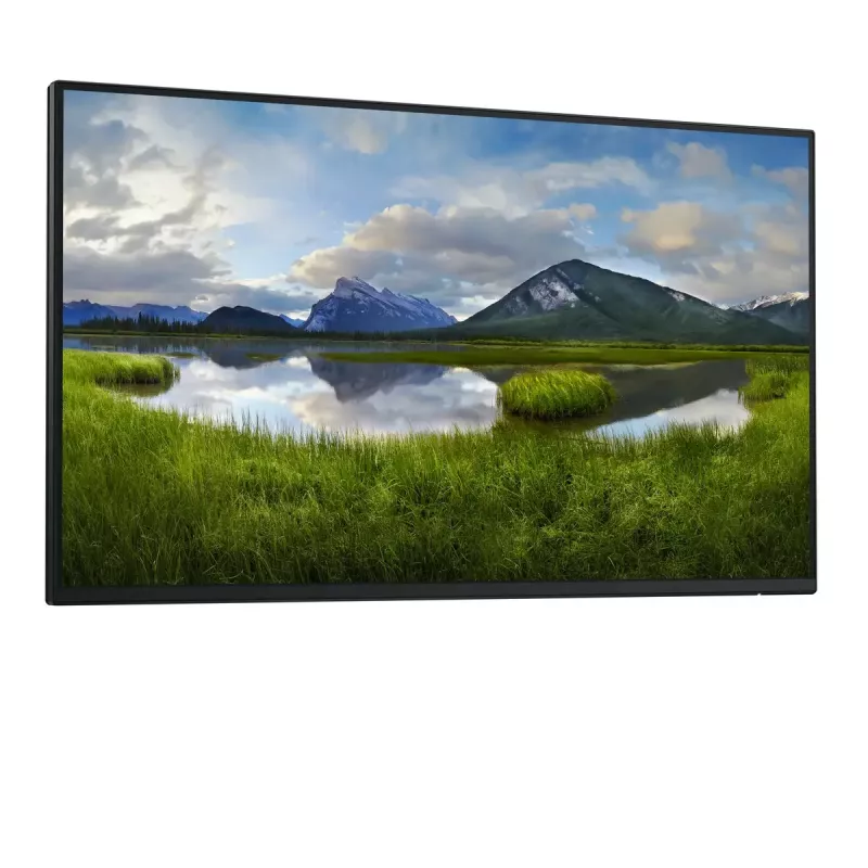 DELL Pro Plus P2425HE_WOST monitorius kompiuteriui 61 cm (24 colių) 1920 x 1080 pikselių Full HD LCD juodas