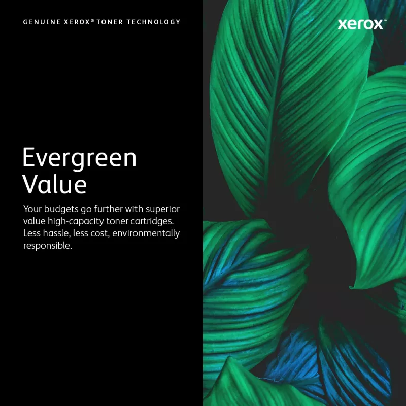 Xerox Genuine ® B205 / B210 / B215 juodos didelės talpos kasetė (3000 puslapių) - 106R04347