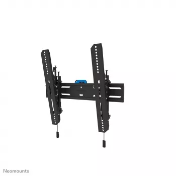 TV sieninis laikiklis Neomounts WL35S-850BL14 Maks. svoris 50 kg 32-75 col.
