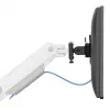 Neomounts DS65S-950WH2 Monitorių laikiklis 24-34 colių - dujinė spyruoklė - Topfix - daugialypis reguliavimas - 180° stabdiklis