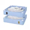 Kompiuterio ventiliatorius Thermaltake CT120 EX Reverse ARGB Sync Hydrangea Blue 120 mm