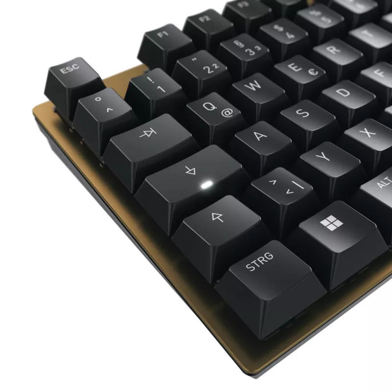 CHERRY KC 200 MX mechaninė klaviatūra universal USB QWERTZ vokiška juoda, bronzinė