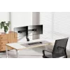 Dvigubas monitoriaus laikiklis Neomounts FPMA-D860DBLACK 10-27 colių