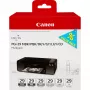 Canon PGI-29 MBK/PBK/DGY/GY/LGY/CO 6 rašalo kasečių rinkinys