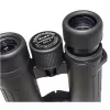 Braun Compagno 8x34 WP žiūronai BAK-4 Roof juodi