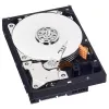 WESTERN DIGITAL kietasis diskas WD Blue WD5000AZLX – 500 GB, SATA 3.5 colio, 7200 aps./min., 32 MB buferis