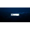 Kingston Technology 480G DC2000B PCIe 4.0 M.2 2280 „Enterprise“ SSD