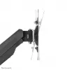 Neomounts TV sieninis laikiklis WL70-550BL12 23-42 coliai 30 kg juodas