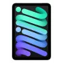 APPLE iPad Mini Wi-Fi + Cellular 256GB – Kosminė pilka