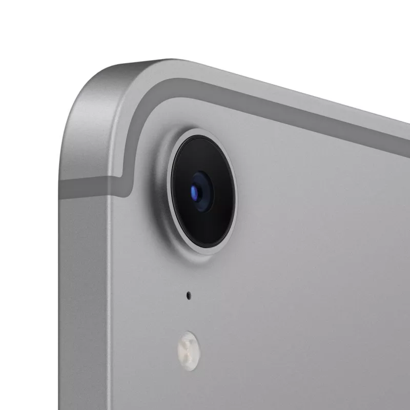 APPLE iPad Mini Wi-Fi + Cellular 256GB – Kosminė pilka
