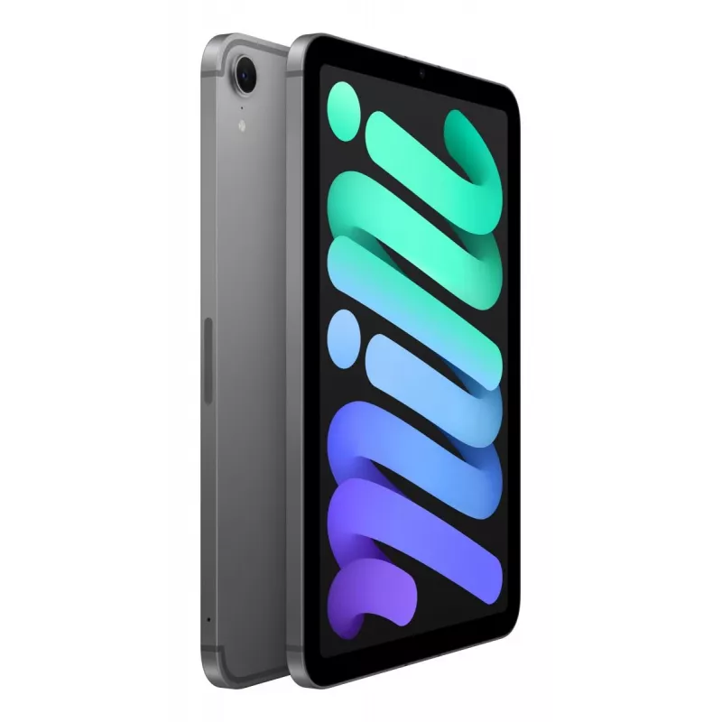APPLE iPad Mini Wi-Fi + Cellular 256GB – Kosminė pilka