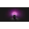 Philips Hue White and colour ambience Calla lauko stulpelinis šviestuvas