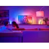 Philips Hue White and colour ambience Play gradient lightstrip 55 coliai