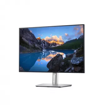 DELL UltraSharp U2421E kompiuterio monitorius 61,2 cm (24,1 colio) 1920 x 1200 pikselių WUXGA LCD sidabrinis