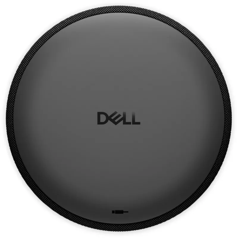 DELL SP325 garsiakalbio mikrofonas universalus USB-C juodas