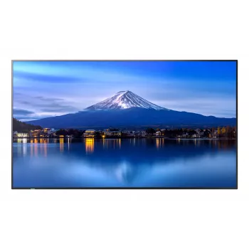 Sharp NEC P436 43 colių profesionalus monitorius 4K Ultra HD 700 cd/m² 24/7